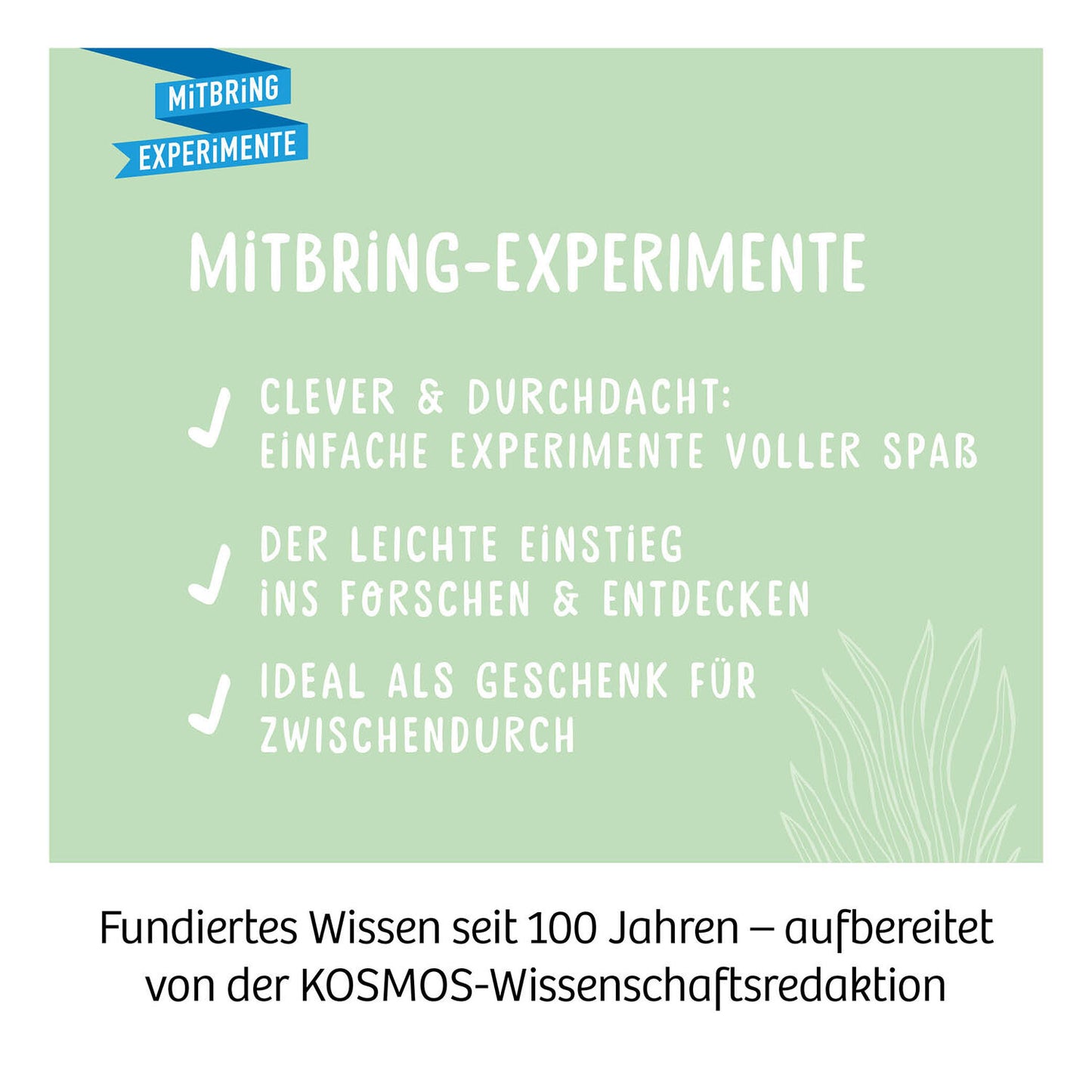 Mitbring-Experiment Kakteen-Wüste