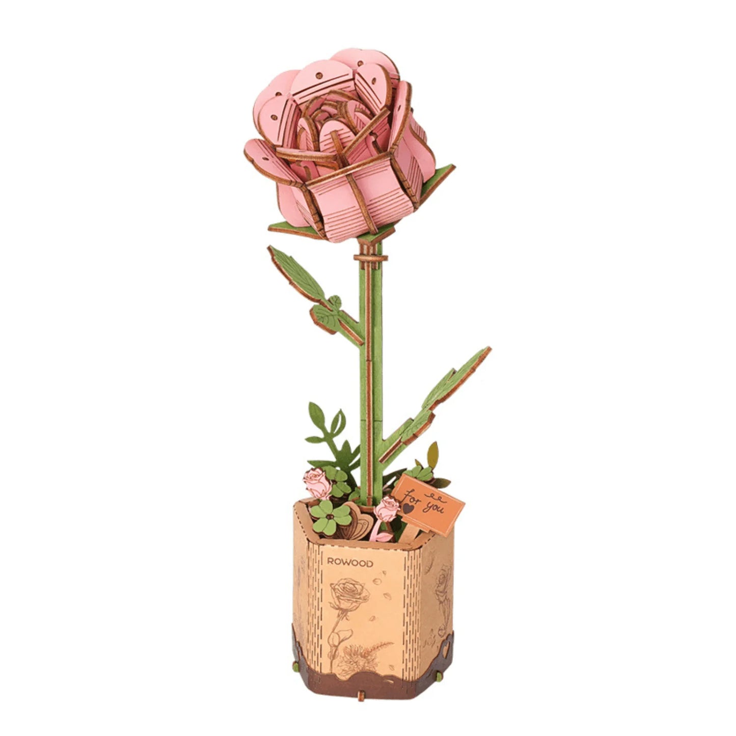 Ewiger Frühling - Rose