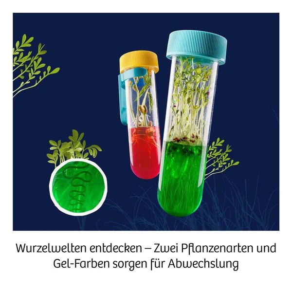 Experimentierkasten Fun Science Aqua-Gel Pflanzen