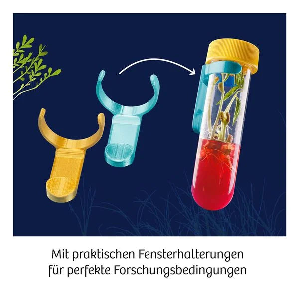 Experimentierkasten Fun Science Aqua-Gel Pflanzen