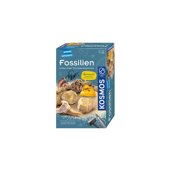 Mitbring-Experiment Fossilien