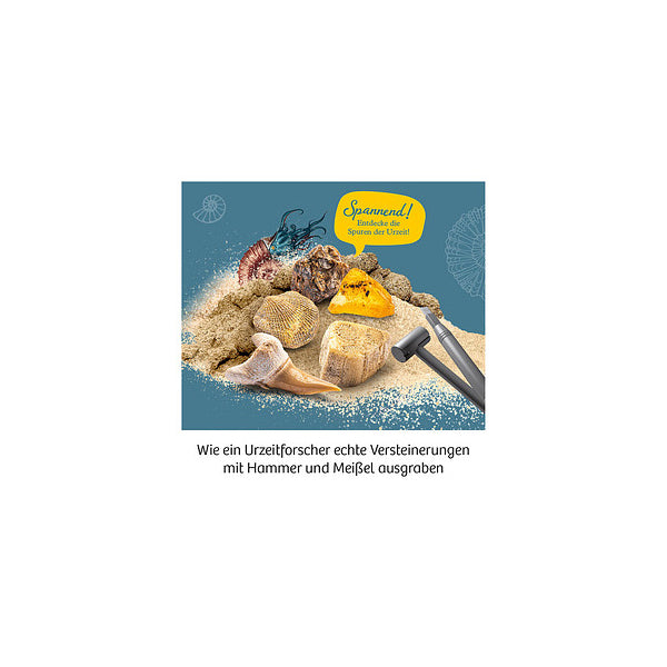Mitbring-Experiment Fossilien