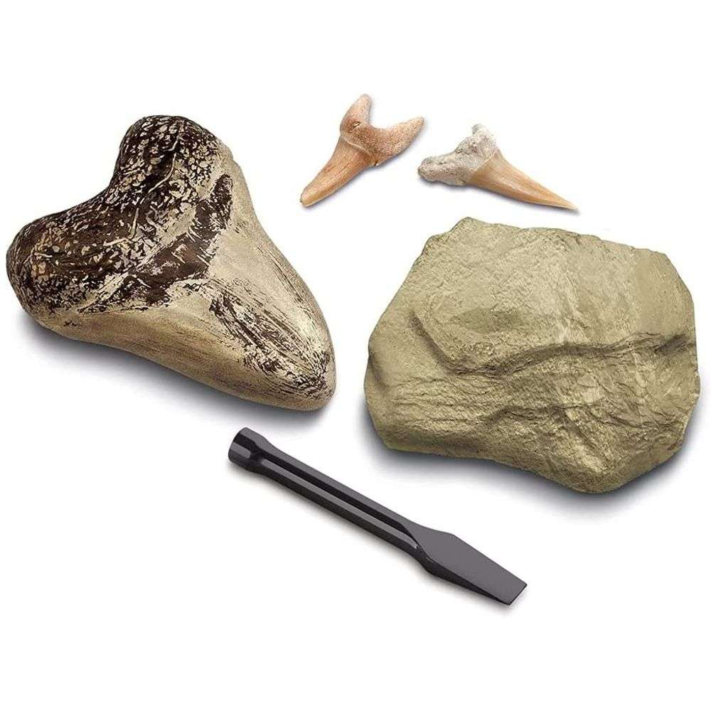 Ausgrabungsset Haizahn