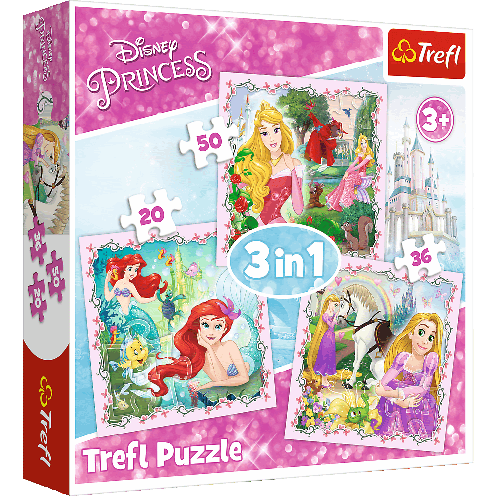 3 in 1 Pz Disney Princess