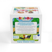 BrainBox Haustiere