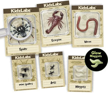 Experimentierkasten KizLabs Krabbeltier-Ausgrabung