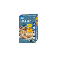 Mitbring-Experiment Fossilien