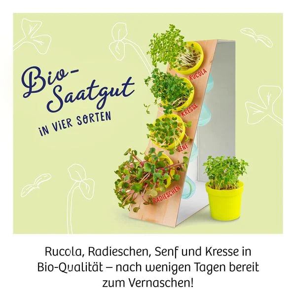 Experimentierkasten Microgreen Garten