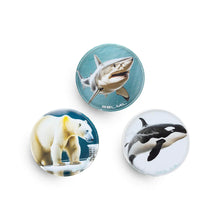 Belmil Patch Set Wild Life