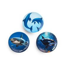 Belmil Patch Set Sea Life