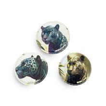 Belmil Patch Set Wild Cats