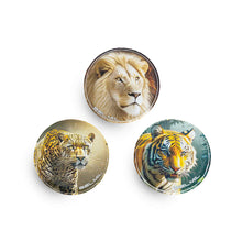 Belmil Patch Set Animal Kingdom